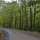 Image for article titled Beleaguered Michigan Counties Returning To Gravel Roads
